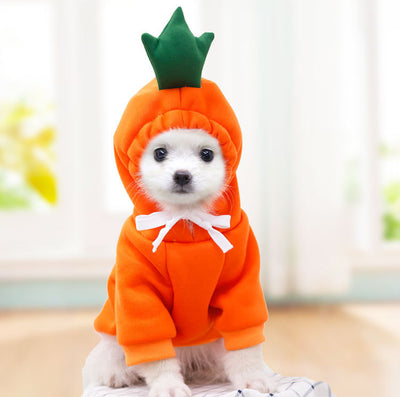 Cute Warm Dog Hoodies