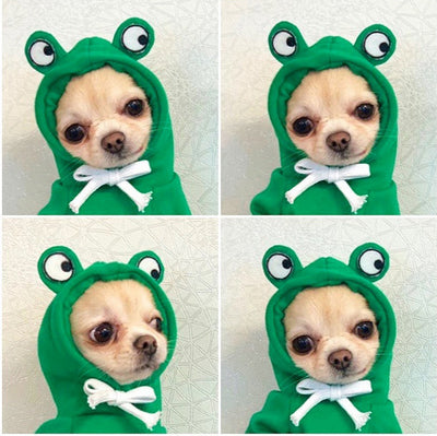 Cute Warm Dog Hoodies