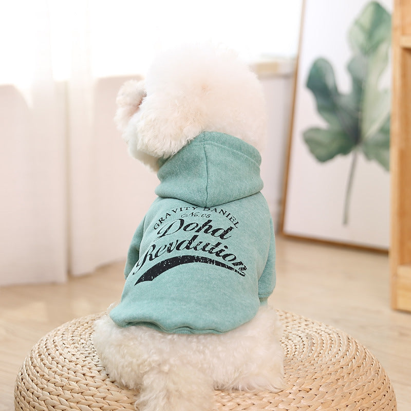 clothes for pets - UrbanZ By Nisha