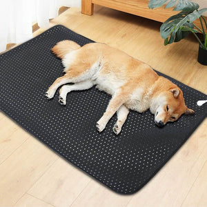 Pets Earthing Mat - Cats & Dogs - UrbanZ By Nisha