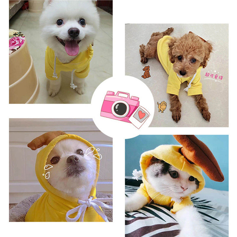 Cute Warm Dog Hoodies