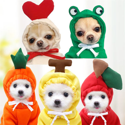 Cute Warm Dog Hoodies